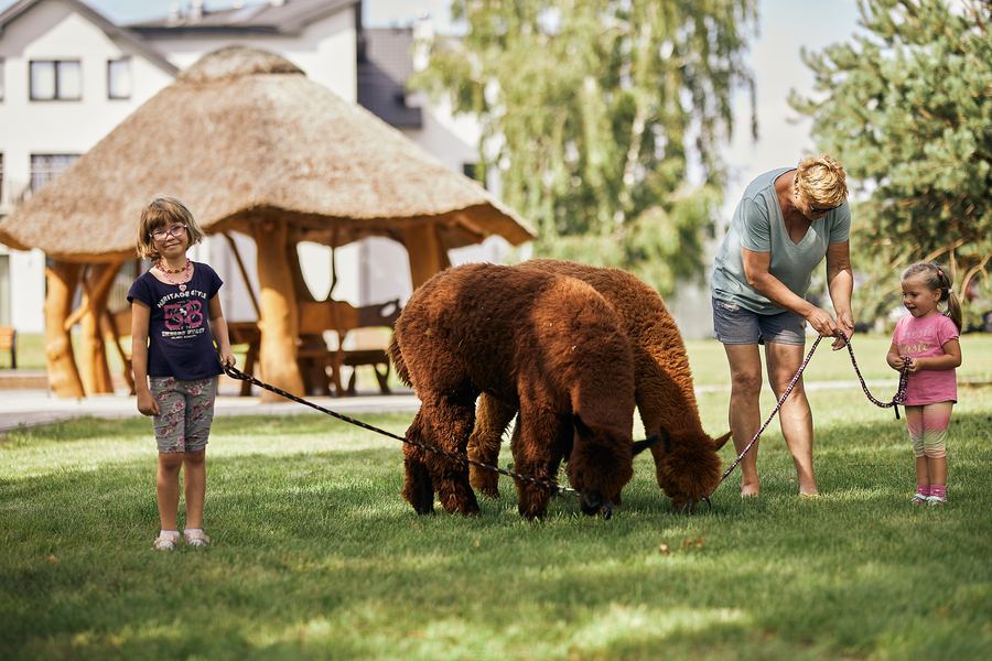 PARK ZDROWIA NOWOCZESNA REHABILITACJA – zdjęcie 9